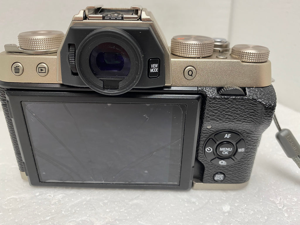 Fujifilm X-T100 Mirrorless Digital Camera (Body) Champagne Gold - Used